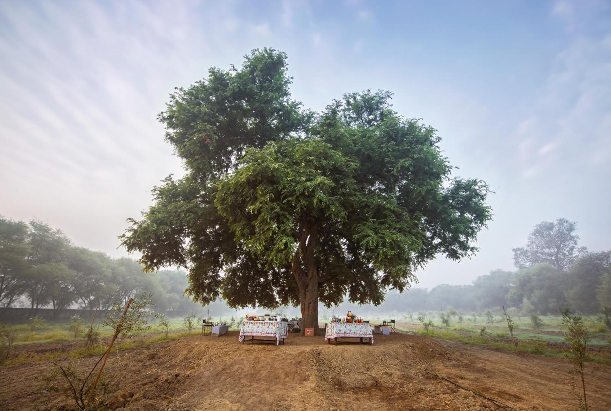 Mela Kothi - The Chambal Safari Lodge Bāh Exteriör bild